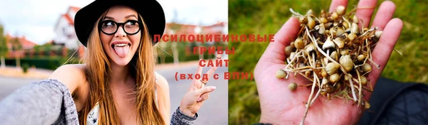 меф Абинск