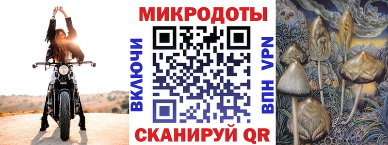 купить наркотики сайты  Петров Вал  Галлюциногенные грибы мухоморы 